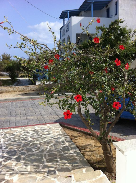 איוס פרוקופיוס Studios Vagos 1 מראה חיצוני תמונה